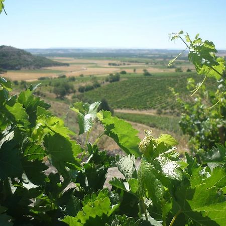 La Cantamora Hotel Rural Pesquera De Duero מראה חיצוני תמונה