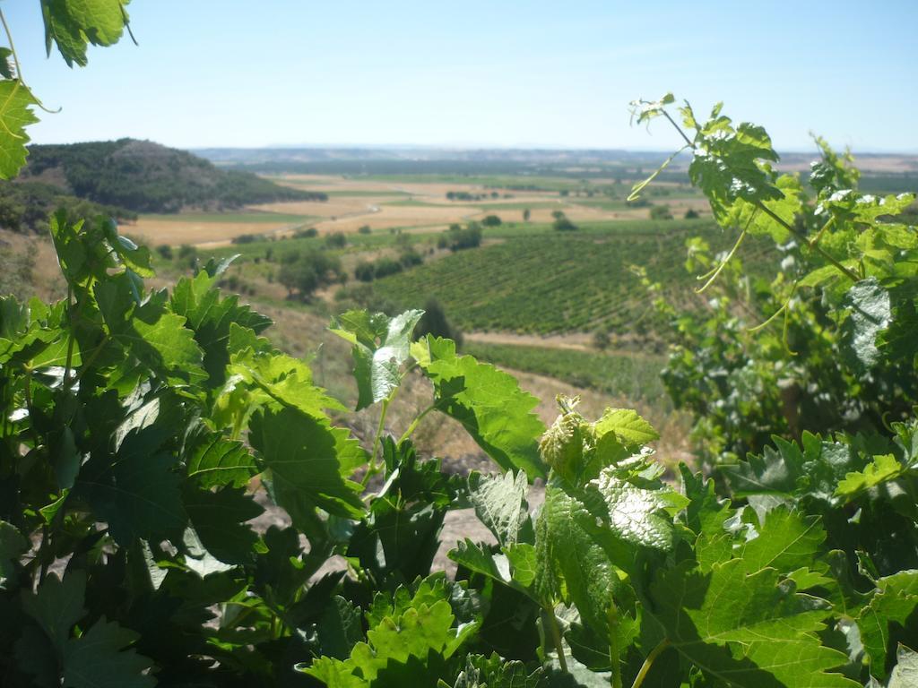La Cantamora Hotel Rural Pesquera De Duero מראה חיצוני תמונה